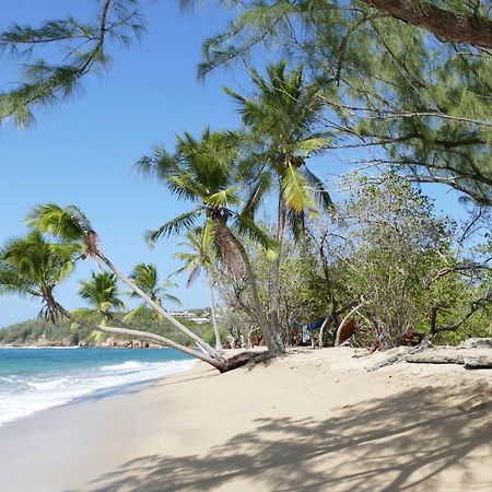 La Villa Caribeenne De La Plage Des Surfeurs Trinite  Exterior foto