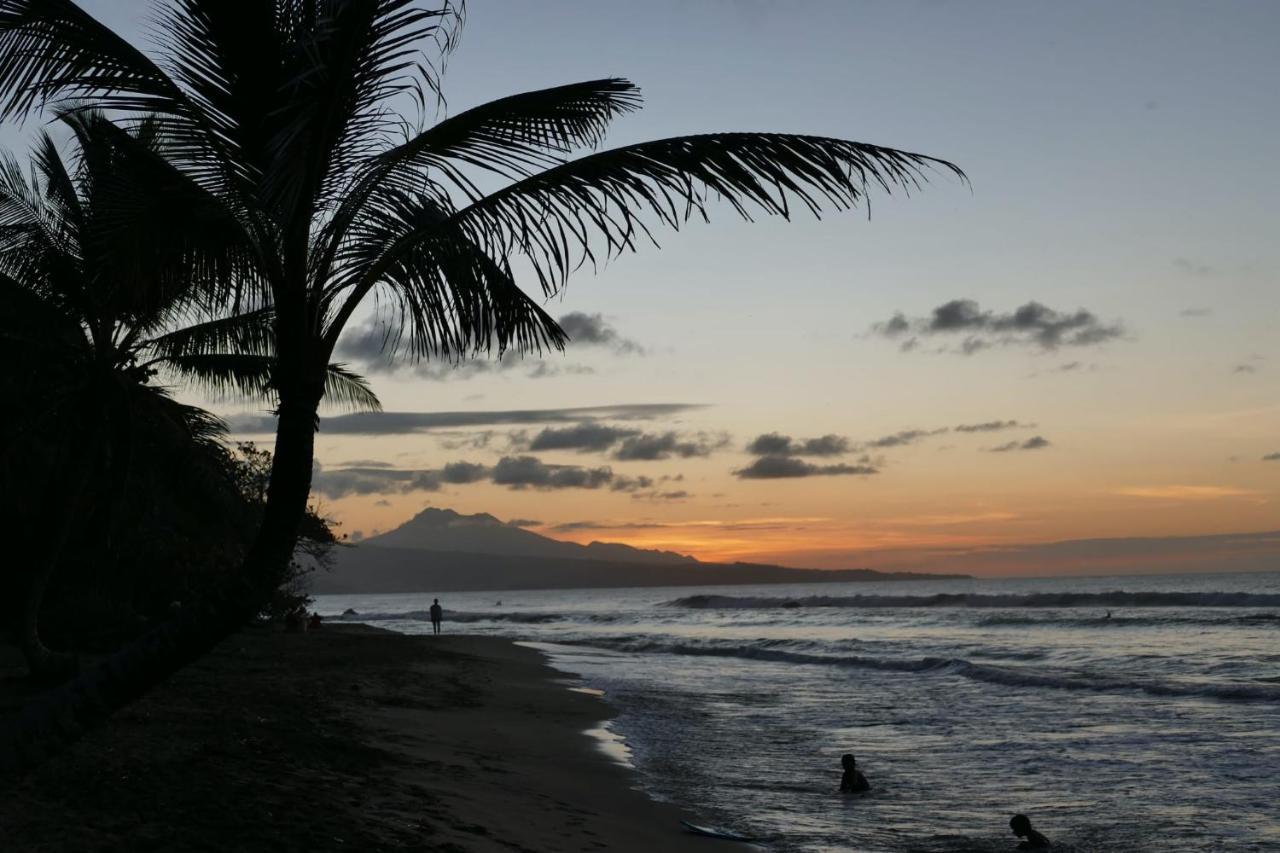 La Villa Caribeenne De La Plage Des Surfeurs Trinite  Exterior foto