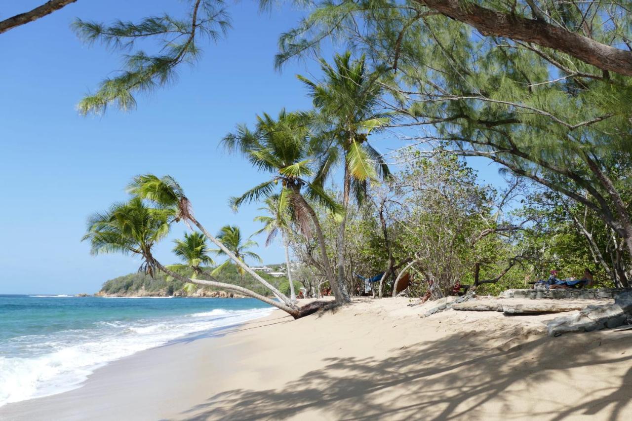 La Villa Caribeenne De La Plage Des Surfeurs Trinite  Exterior foto
